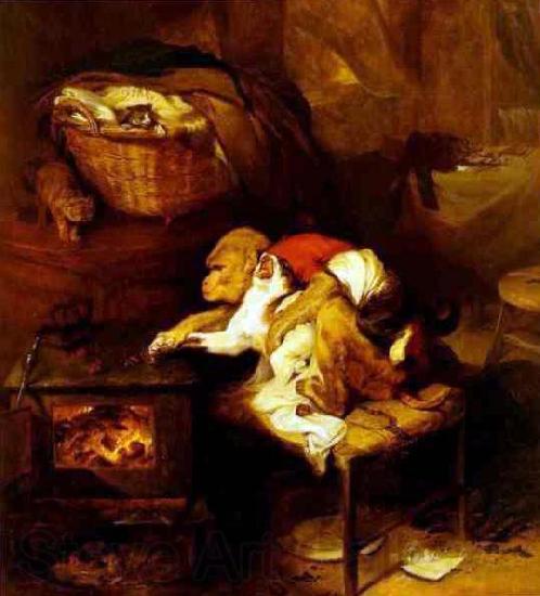 Sir Edwin Landseer The Cat's Paw Spain oil painting art